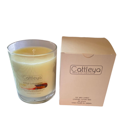 Apple Cinnamon Soy Candle