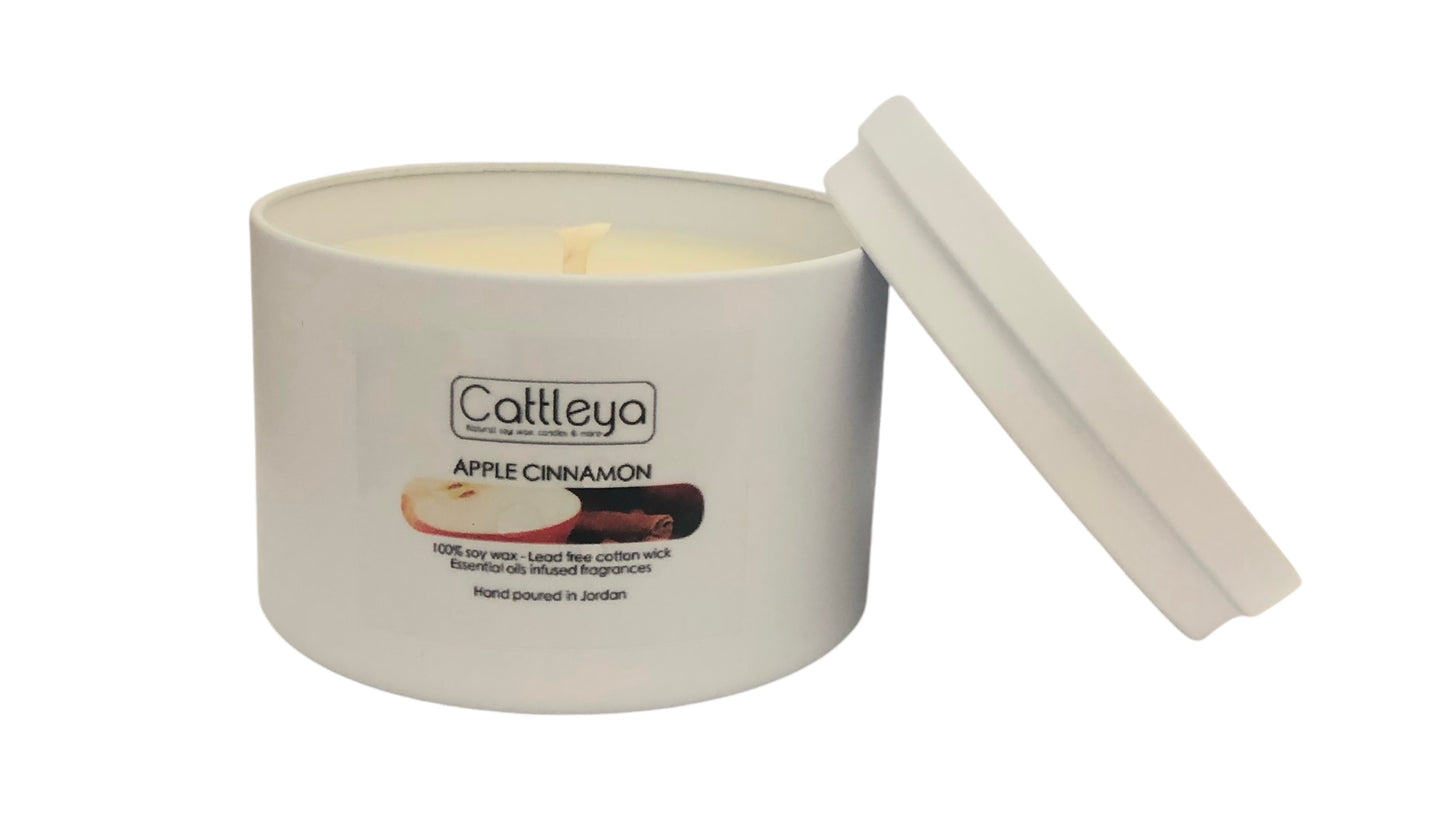 Apple Cinnamon Soy Candle