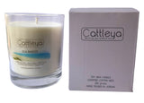 Soy Wax Candle 250grams (Limited Edition)