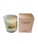 Cucumber Melon Soy Candle