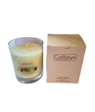 Cucumber Melon Soy Candle