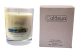 Soy Wax Candle 250grams (Limited Edition)