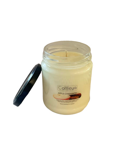 Apple Cinnamon Soy Candle