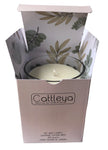 Soy Wax Candle 250grams (Limited Edition)