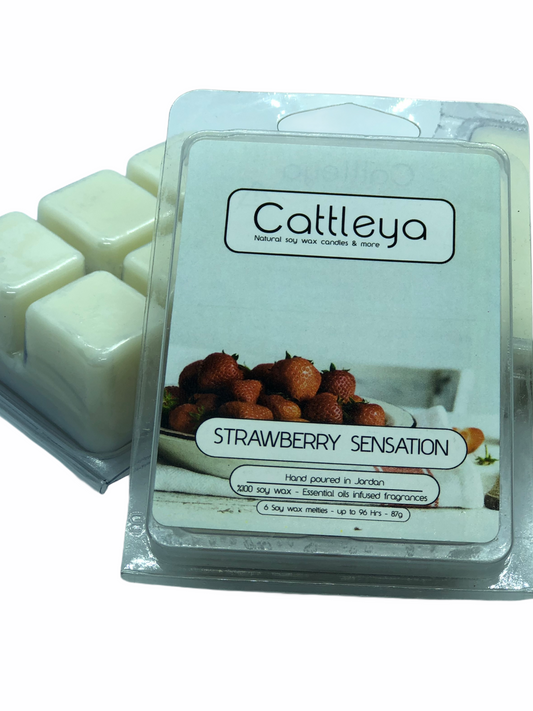 Strawberry Sensation Melties