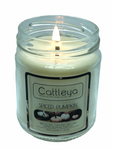 Pumpkin Pie Soy Candle