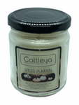 Pumpkin Pie Soy Candle