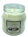 Pumpkin Pie Soy Candle